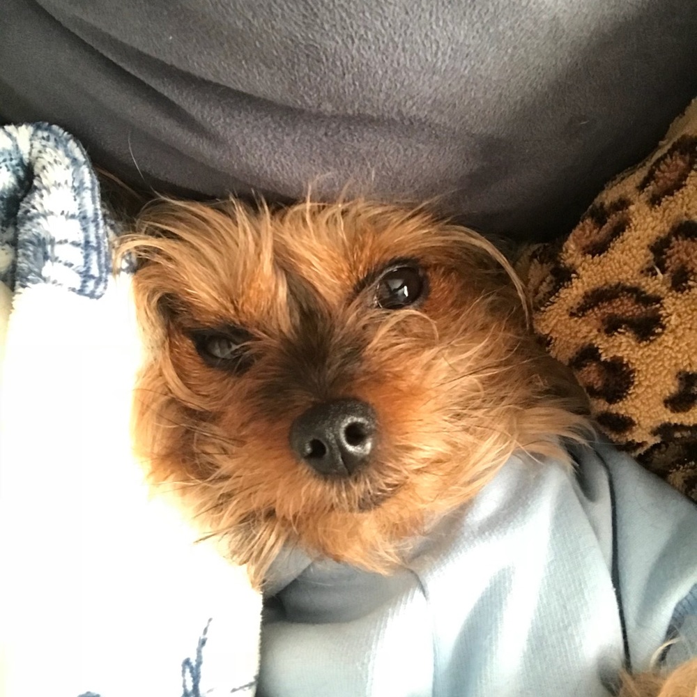 Meet your Posher, Karen